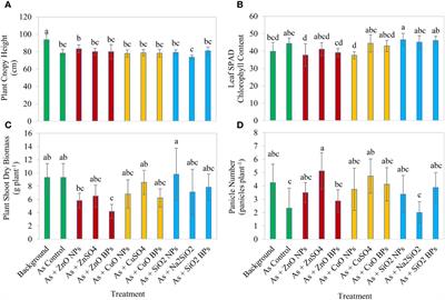 Effectiveness of nanomaterials and their counterparts in improving rice growth and yield under arsenic contamination